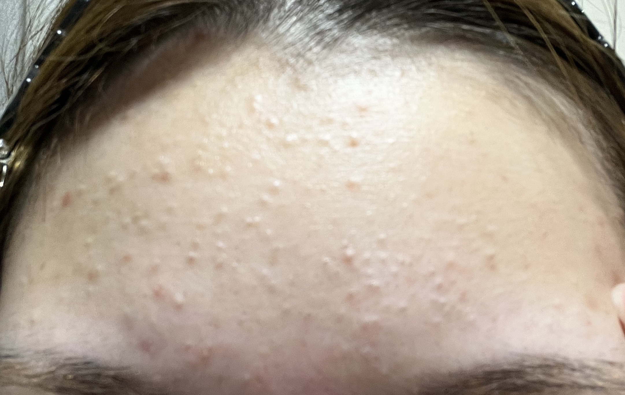 潤浸保湿 フェイスクリーム/キュレル/フェイスクリームを使ったクチコミ（1枚目）