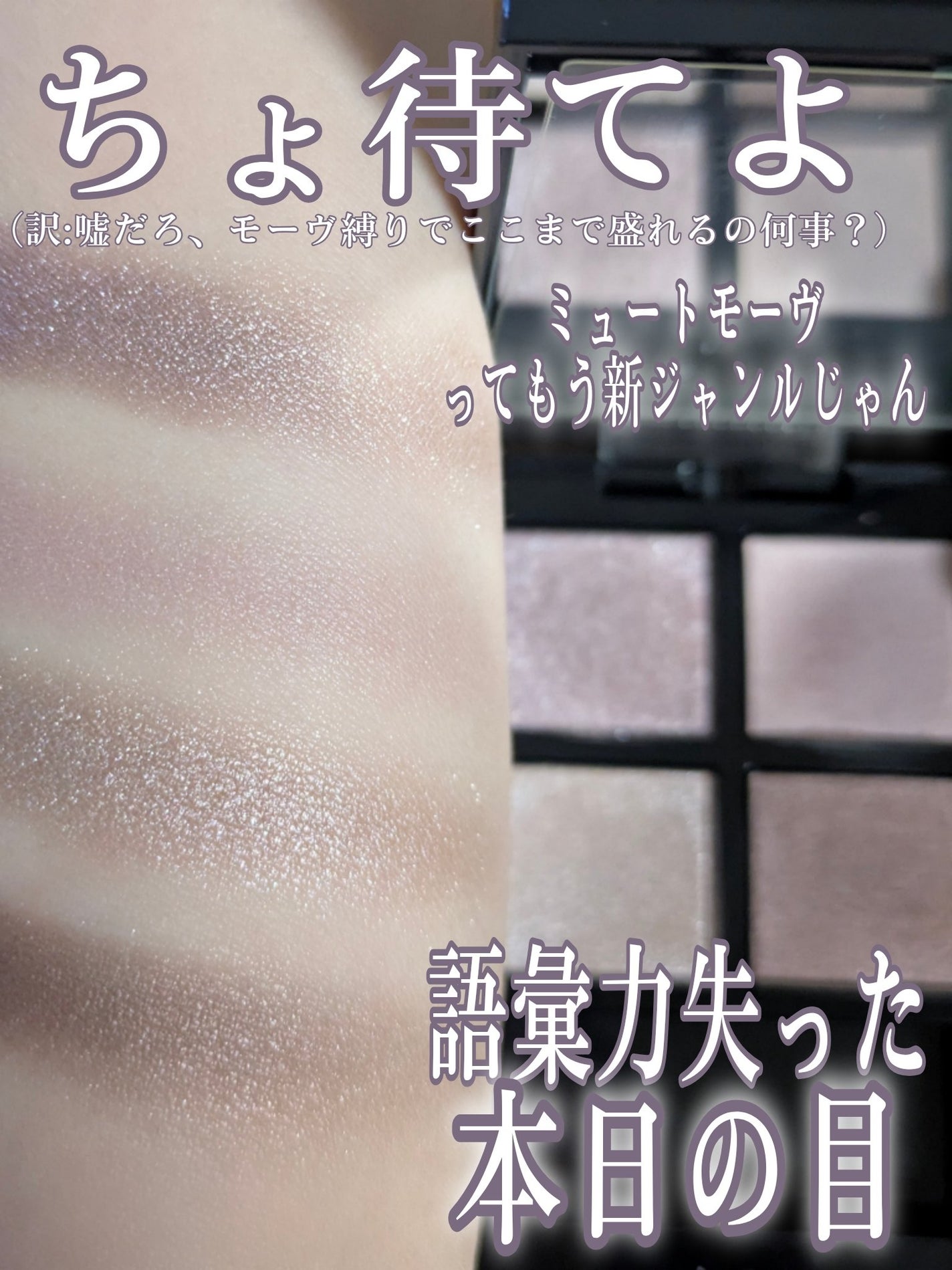 アディクション ザ アイシャドウ パレット +/ADDICTION/アイシャドウパレットを使ったクチコミ(1枚目)