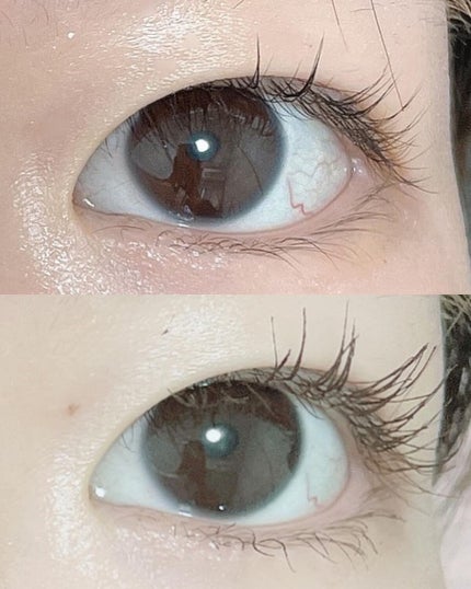 密着センシティブマスカラ/GIVERNY/マスカラを使ったクチコミ(6枚目)