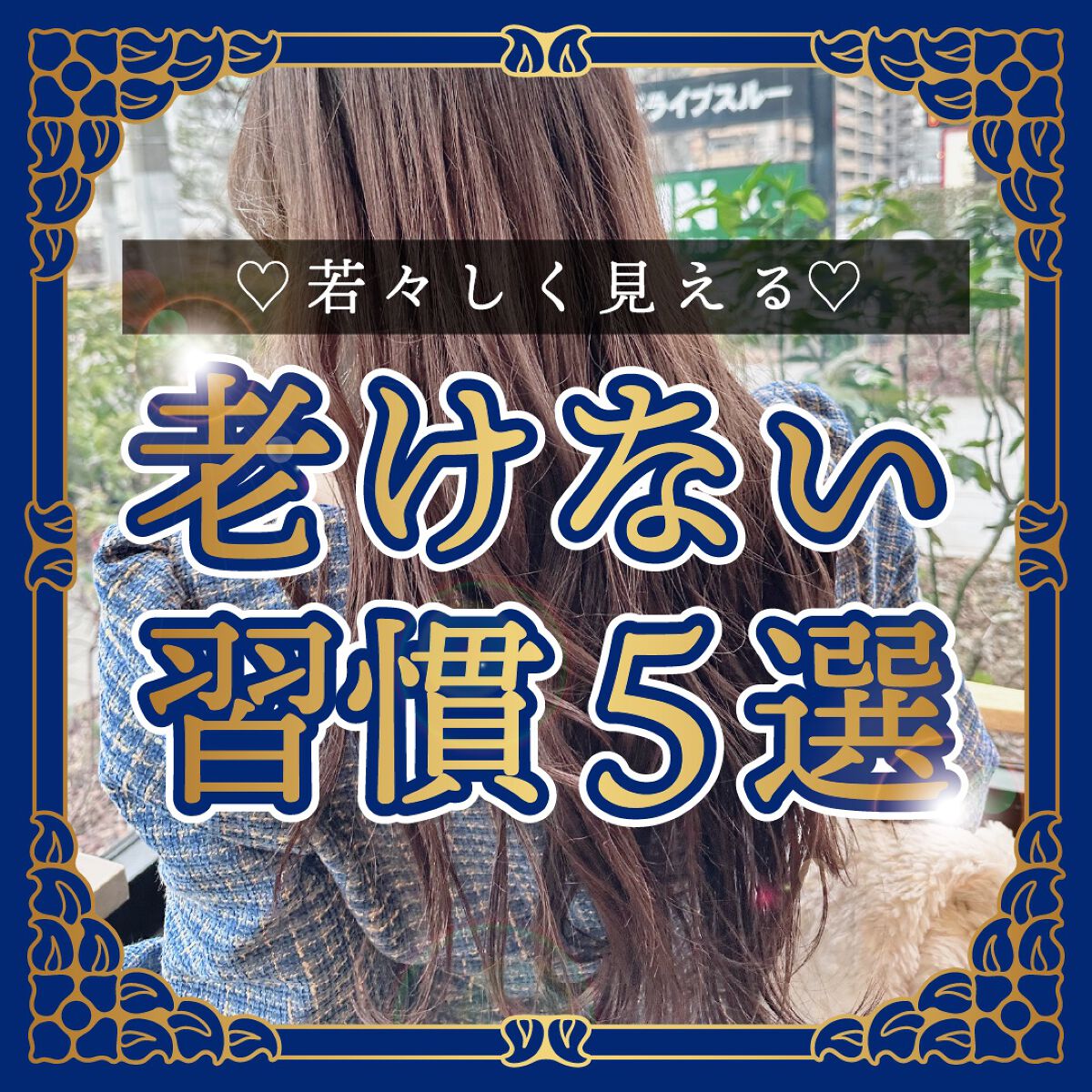 スクワラン シルク マスク/Dr.Althea/シートマスク・パックを使ったクチコミ（1枚目）