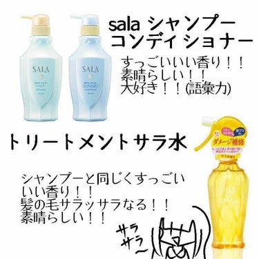 トリートメント サラ水N(サラの香り)/SALA/ヘアスプレー・ヘアミストを使ったクチコミ（2枚目）