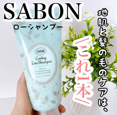 スパークリング ローシャンプー/SABON/シャンプー・コンディショナーを使ったクチコミ（1枚目）