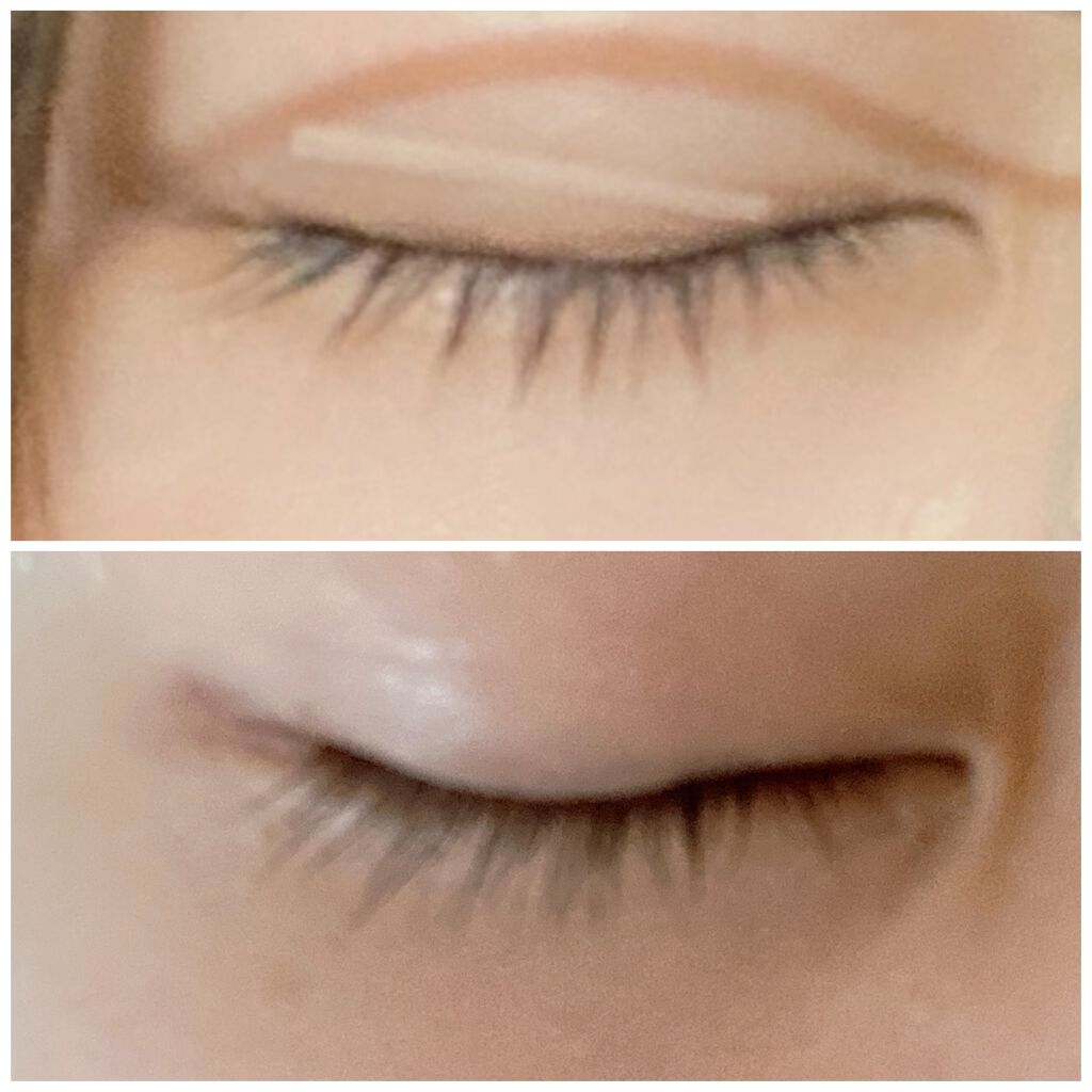 ラッシュボーン ブラックファイバーイン/MAJOLICA MAJORCA/マスカラ下地を使ったクチコミ（3枚目）