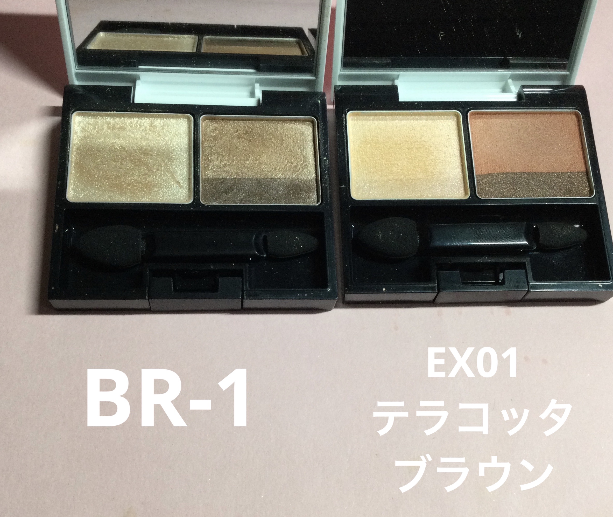 スキンフィットアイズ EX1 テラコッタブラウン/リサージ/アイシャドウパレットを使ったクチコミ（2枚目）