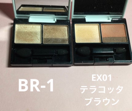 スキンフィットアイズ/リサージ/アイシャドウパレットを使ったクチコミ(2枚目)