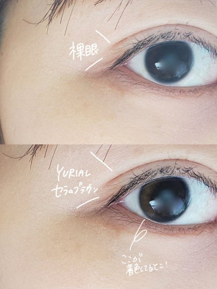 YURIAL Monthly/i-DOL/カラーコンタクトレンズを使ったクチコミ(3枚目)