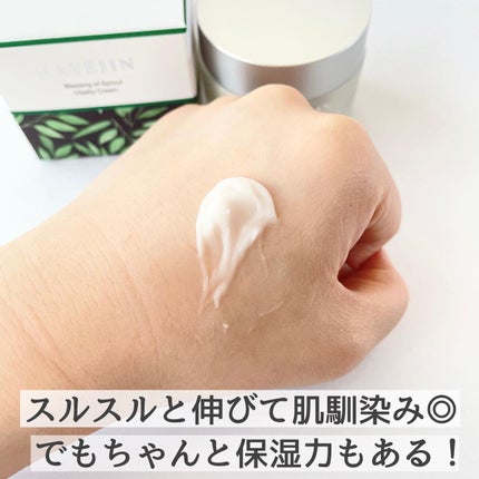 ブレッシングオブスプラウトバイタリティークリーム/HAYEJIN/フェイスクリームを使ったクチコミ(3枚目)