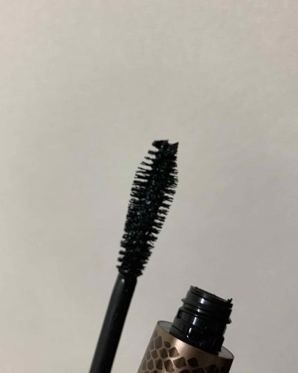 ラッシュ クイーン コブラブラック WP/HELENA RUBINSTEIN/マスカラを使ったクチコミ(2枚目)