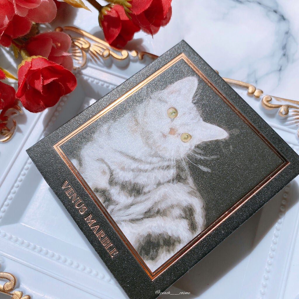 カラーインパクト リキッドライナー/Visée/リキッドアイライナーを使ったクチコミ(2枚目)