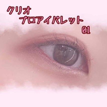 プロ アイ パレット/CLIO/アイシャドウパレットを使ったクチコミ(1枚目)