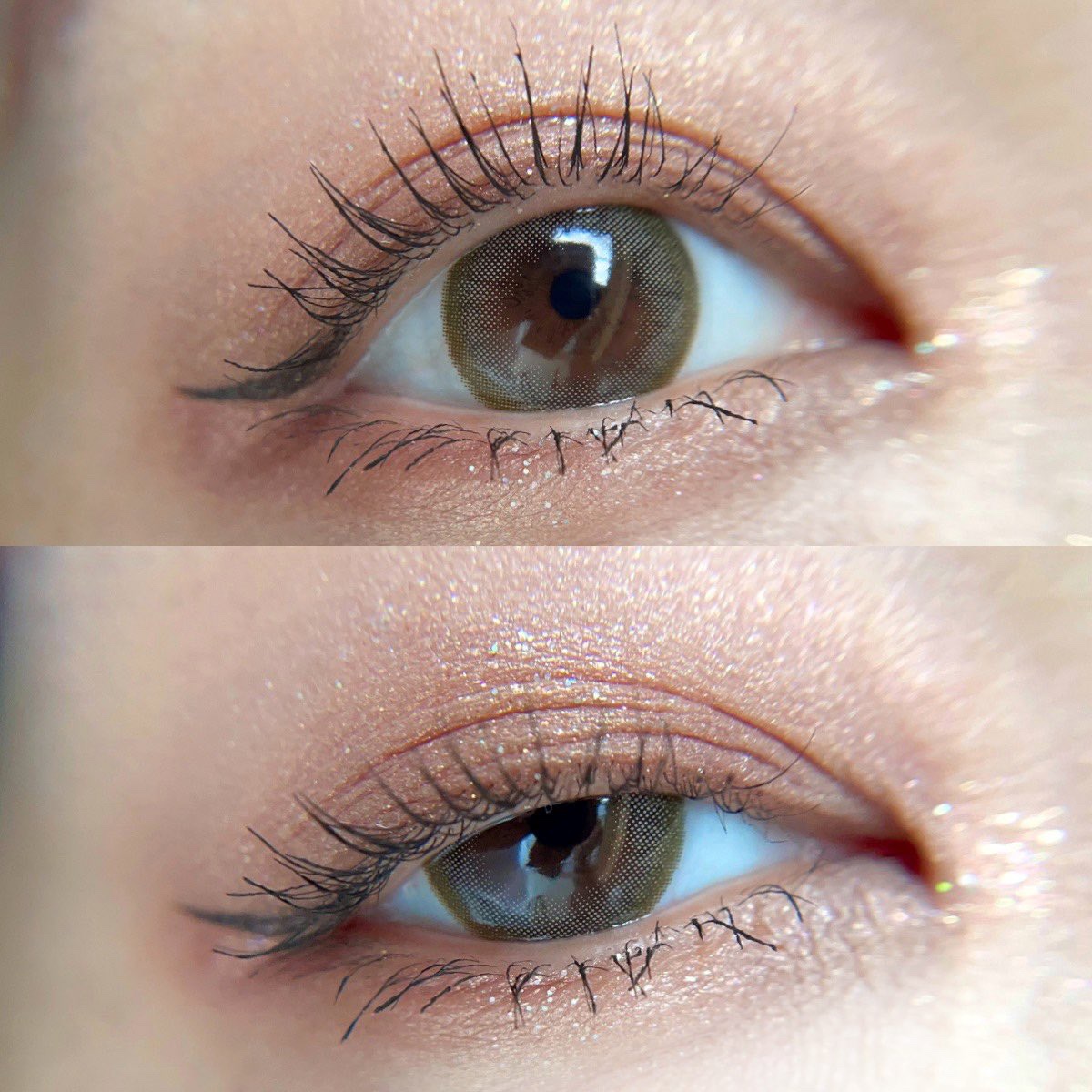 CARSLAN × 敦煌博物館　コラボ・アイシャドウ/CARSLAN/アイシャドウパレットを使ったクチコミ（1枚目）