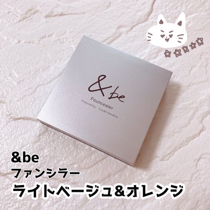 &be ファンシーラー/&be/パレットコンシーラーを使ったクチコミ(1枚目)