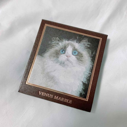 Venus Marble アイシャドウキャットシリーズ/Venus Marble/アイシャドウパレットを使ったクチコミ(1枚目)