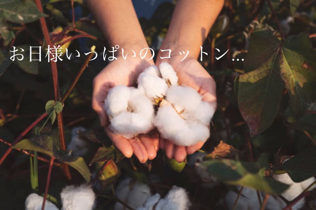 インディ/ケイティペリー/香水(レディース)を使ったクチコミ（3枚目）