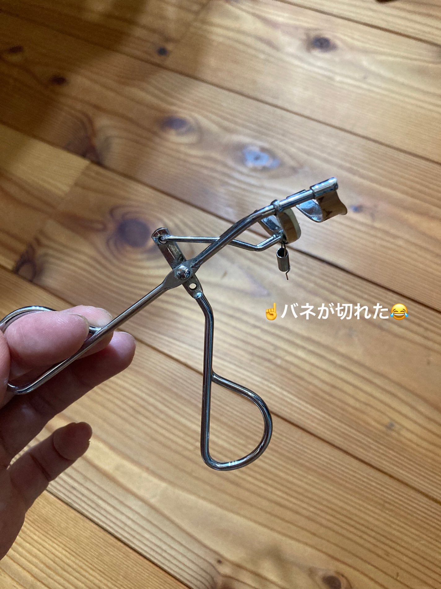 アイラッシュカーラー /SHISEIDO/ビューラーを使ったクチコミ(1枚目)