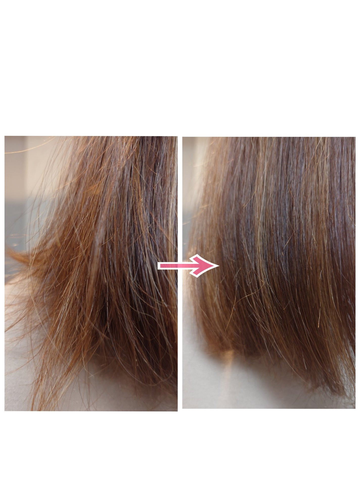 GLOSSY COAT SHAMPOO / TREATMENT/SANUS HAIR FILTER/市販シャンプーを使ったクチコミ(4枚目)