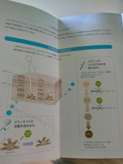 ハイドロキノン/BIHAKUEN/美容液を使ったクチコミ(2枚目)