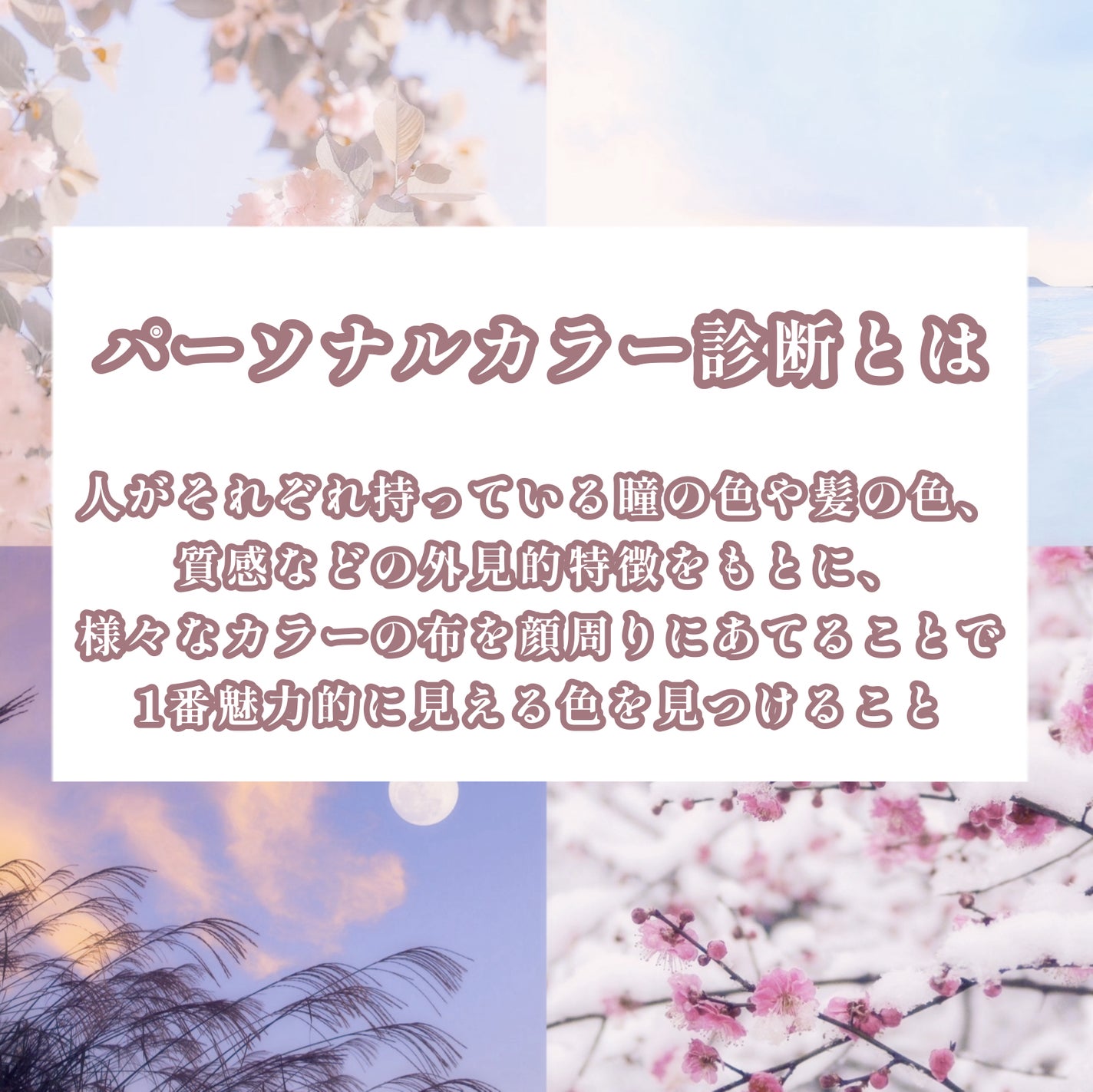 シェーディングパウダー/キャンメイク/シェーディングを使ったクチコミ(2枚目)