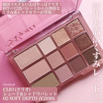 シェード アンド シャドウ パレット/CLIO/アイシャドウパレットを使ったクチコミ(2枚目)