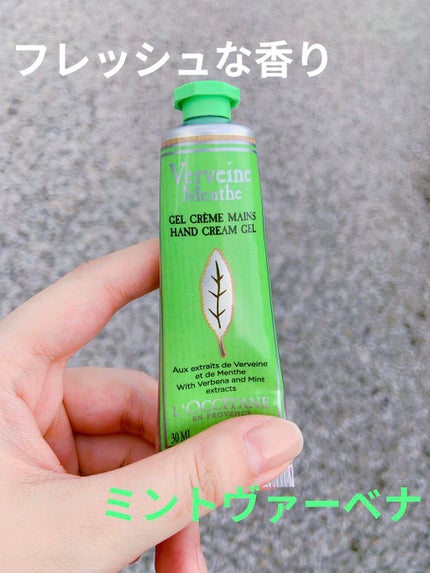 ミントヴァーベナ ソルベハンドクリーム/L'OCCITANE/ハンドクリームを使ったクチコミ(1枚目)