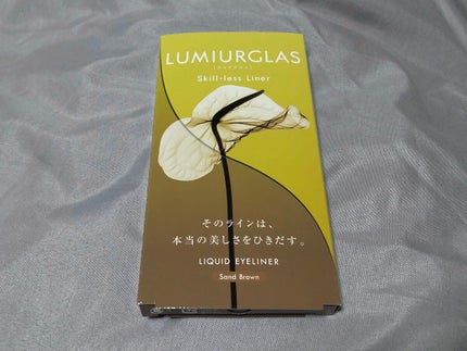 スキルレスライナー/LUMIURGLAS/リキッドアイライナーを使ったクチコミ(1枚目)