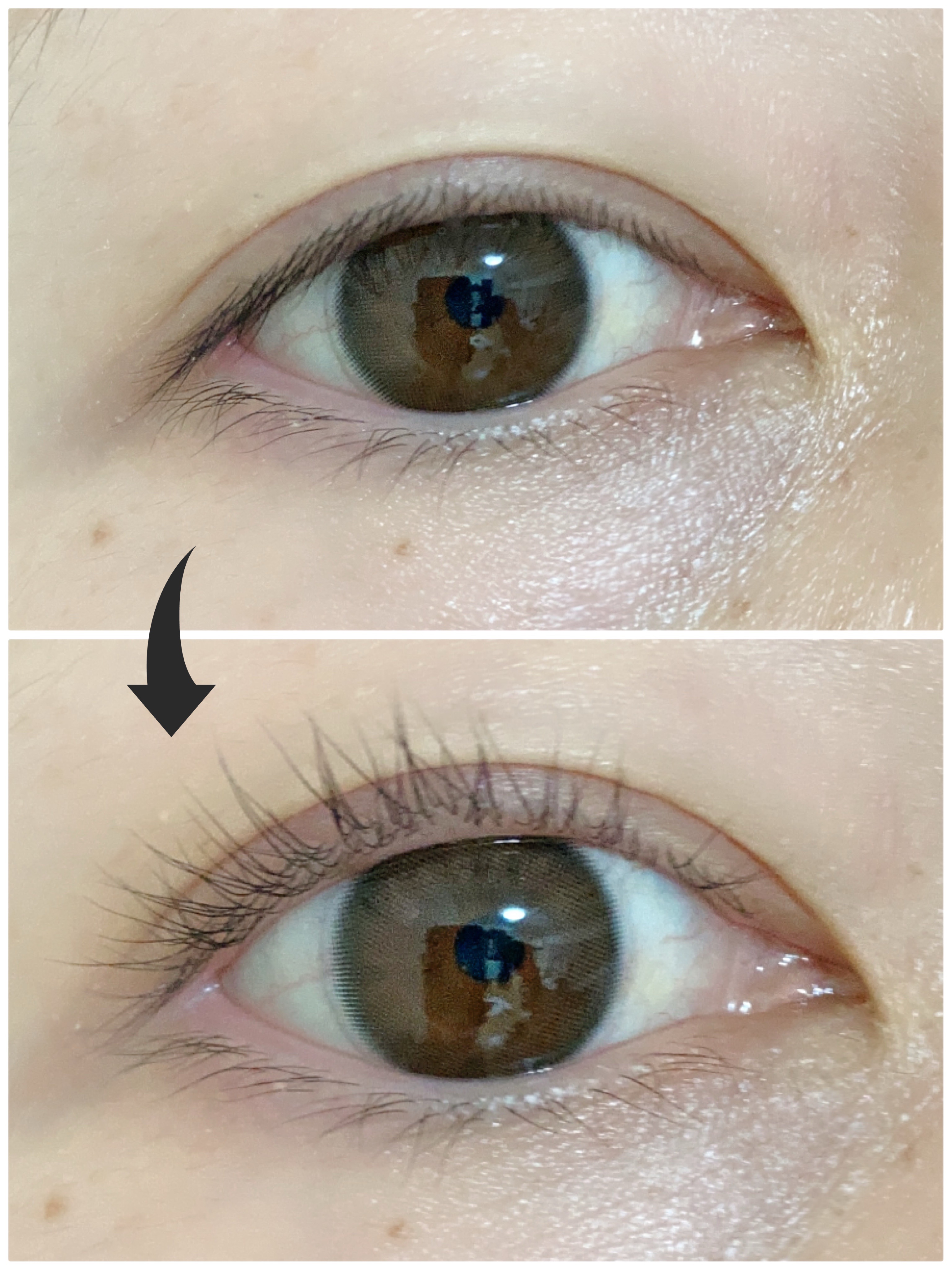 ひとえ・奥ぶたえ用カーラー/アイプチ®/ビューラーを使ったクチコミ（3枚目）