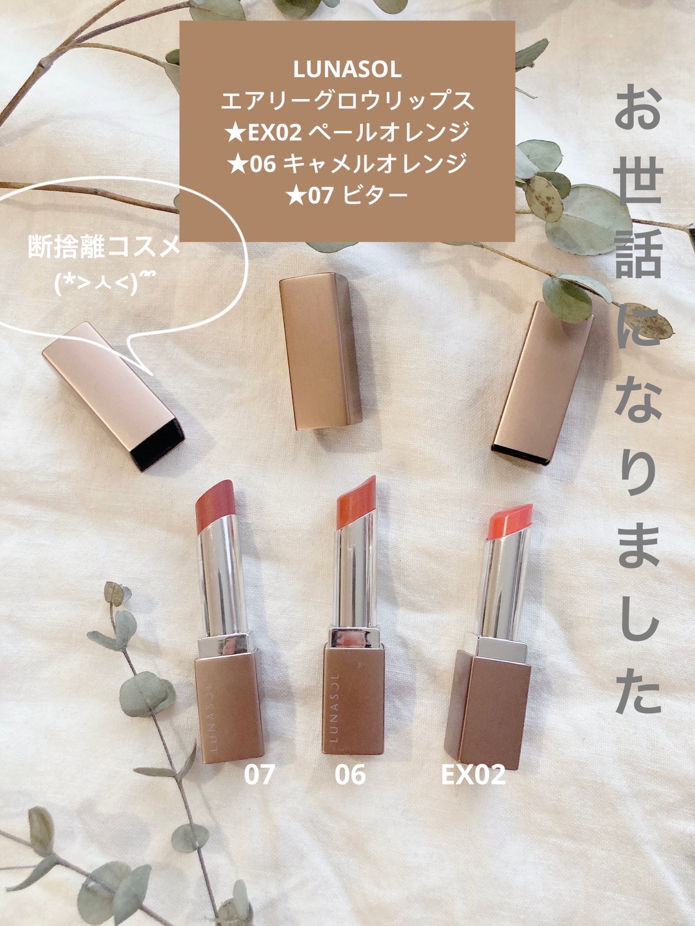 エアリーグロウ リップス/LUNASOL/口紅を使ったクチコミ(1枚目)