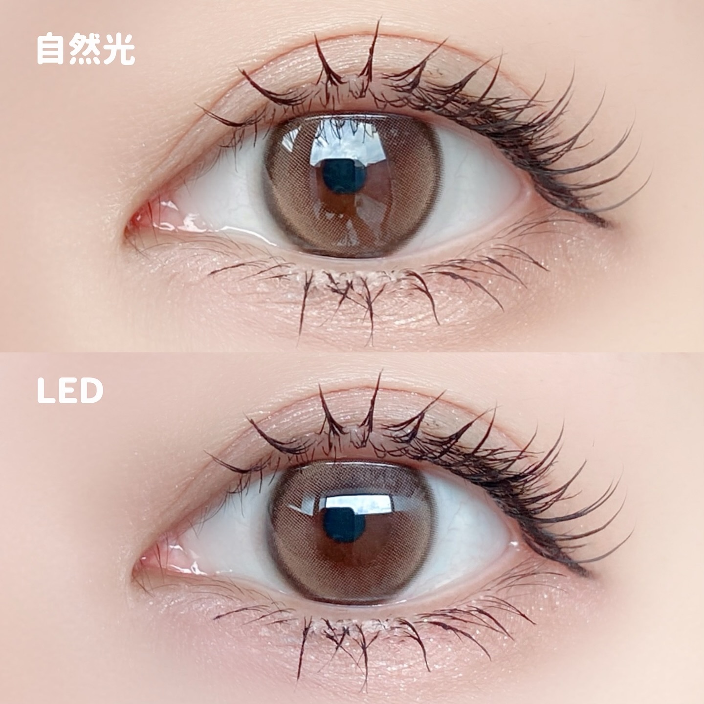 First Love Kristen/Hapa kristin/カラーコンタクトレンズを使ったクチコミ（3枚目）