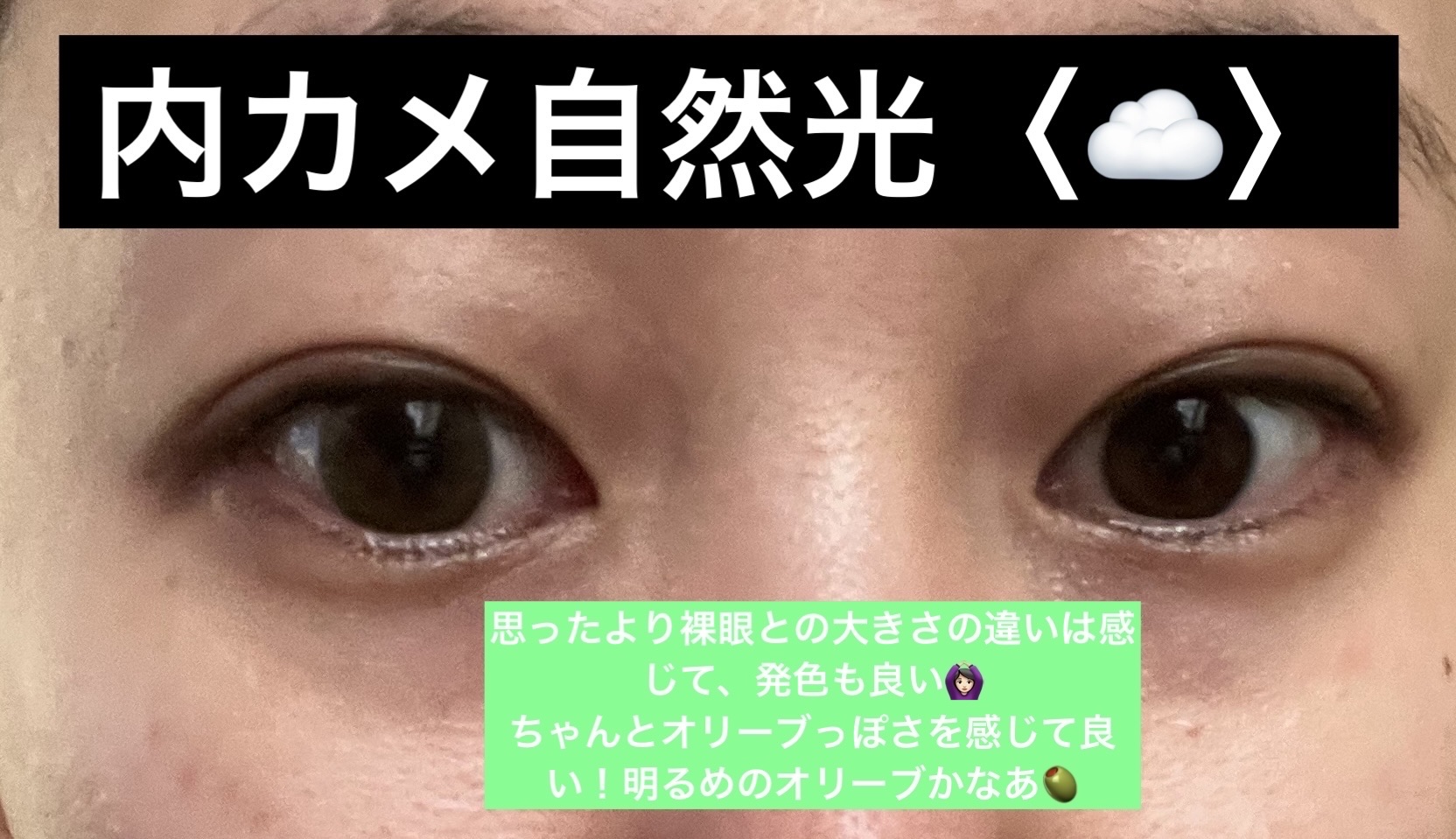 Cheritta 1day ミミオリーブ(Mimi Olive)/Cheritta/ワンデー（１DAY）カラコンを使ったクチコミ（2枚目）