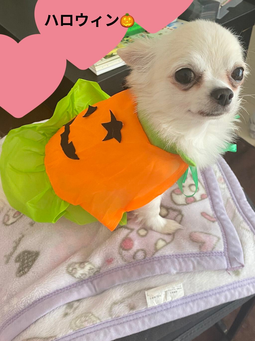 パレスドリーム コレクション/JILL STUART/メイクアップキットを使ったクチコミ(8枚目)