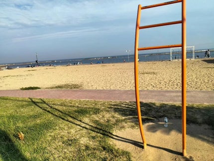 BCAA/F&W/ボディサプリメントを使ったクチコミ(6枚目)