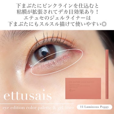 アイエディション(カラーパレット)/ettusais/アイシャドウパレットを使ったクチコミ（2枚目）