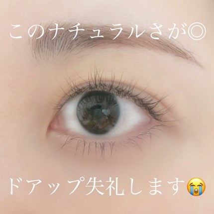 「塗るつけまつげ」ロングタイプ/デジャヴュ/マスカラを使ったクチコミ(3枚目)