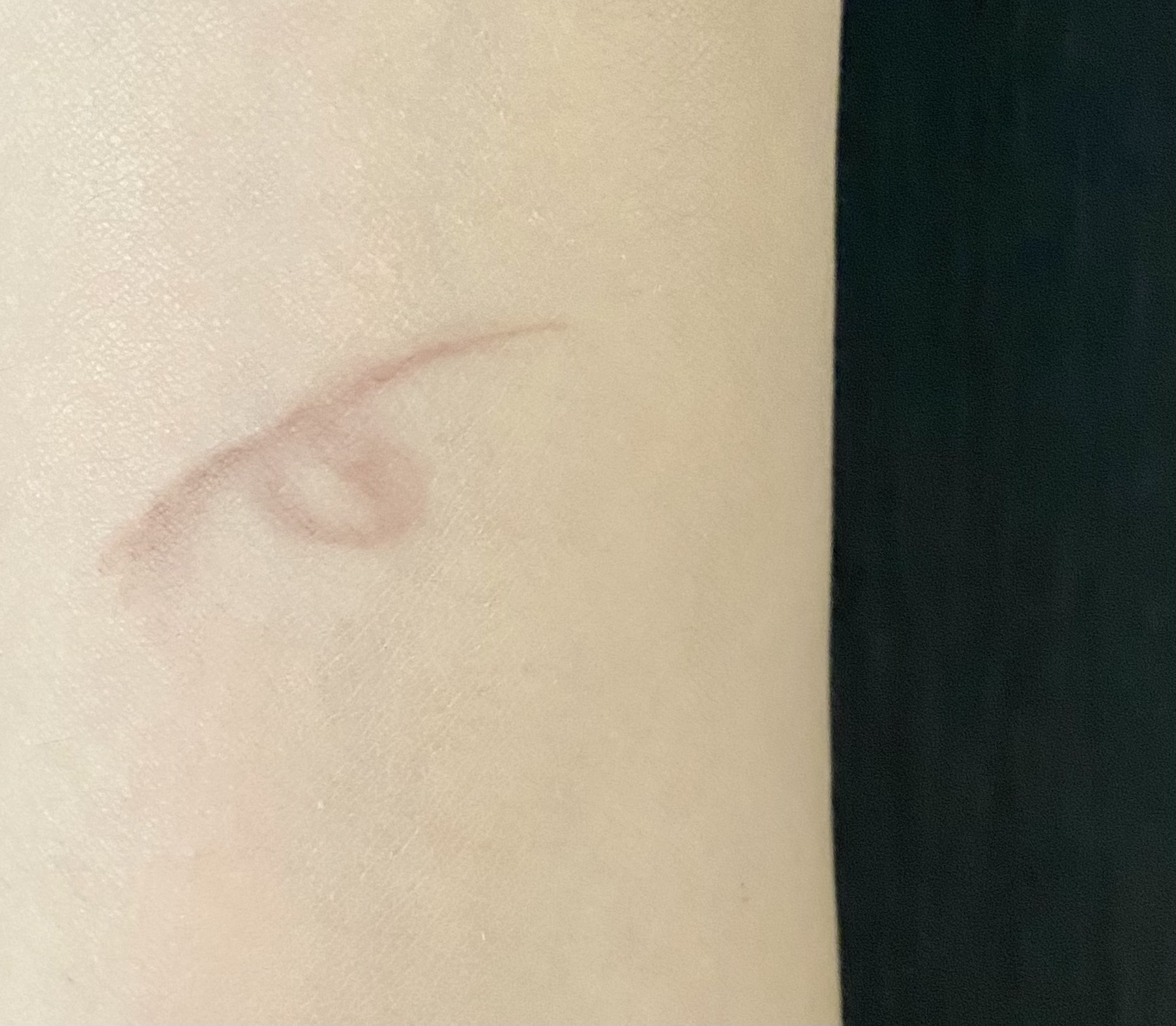 カラーエディットスリムブロウ ES02 サマーネクター/excel/アイブロウペンシルを使ったクチコミ（2枚目）