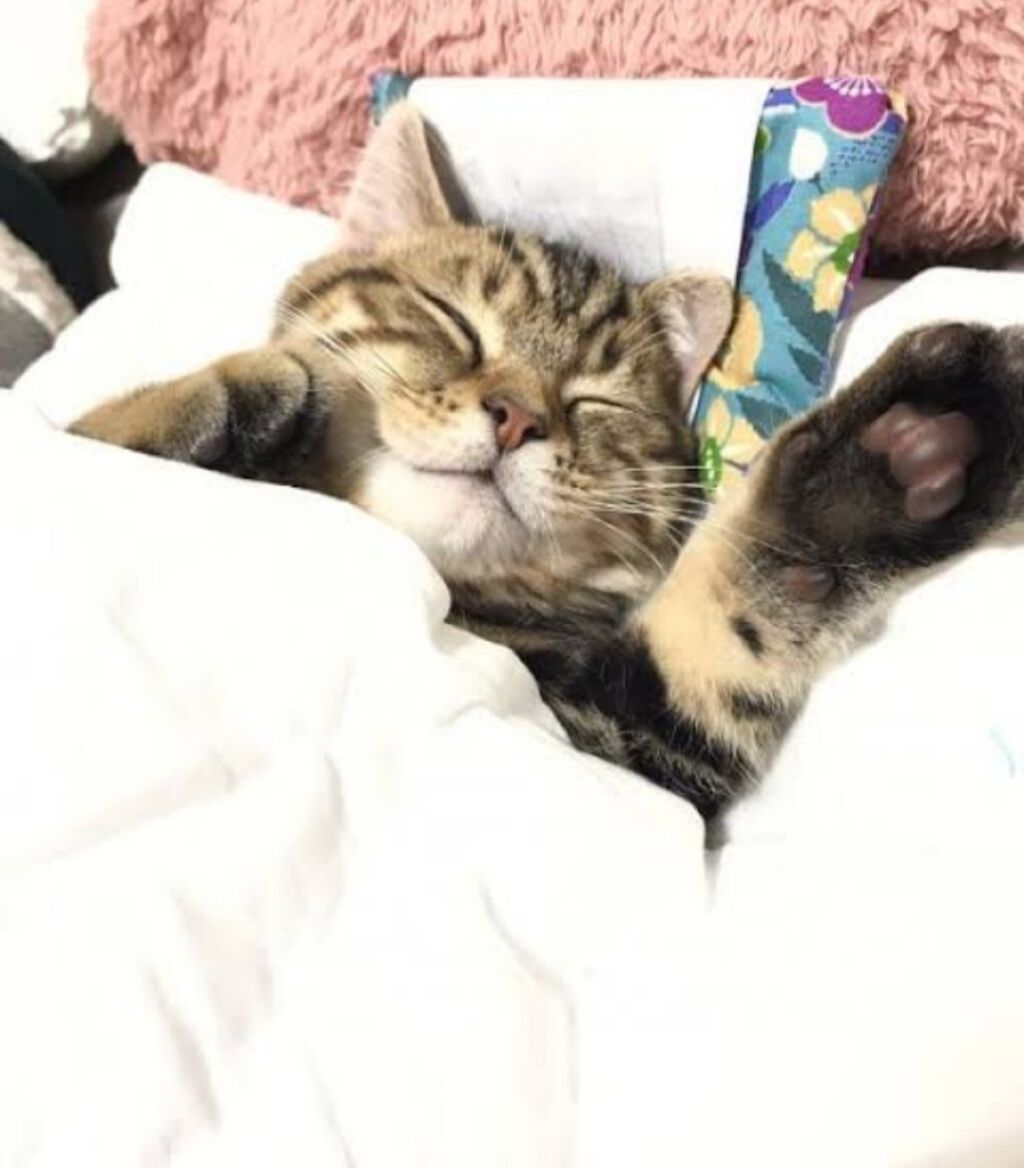 自己紹介/雑談/その他を使ったクチコミ（1枚目）