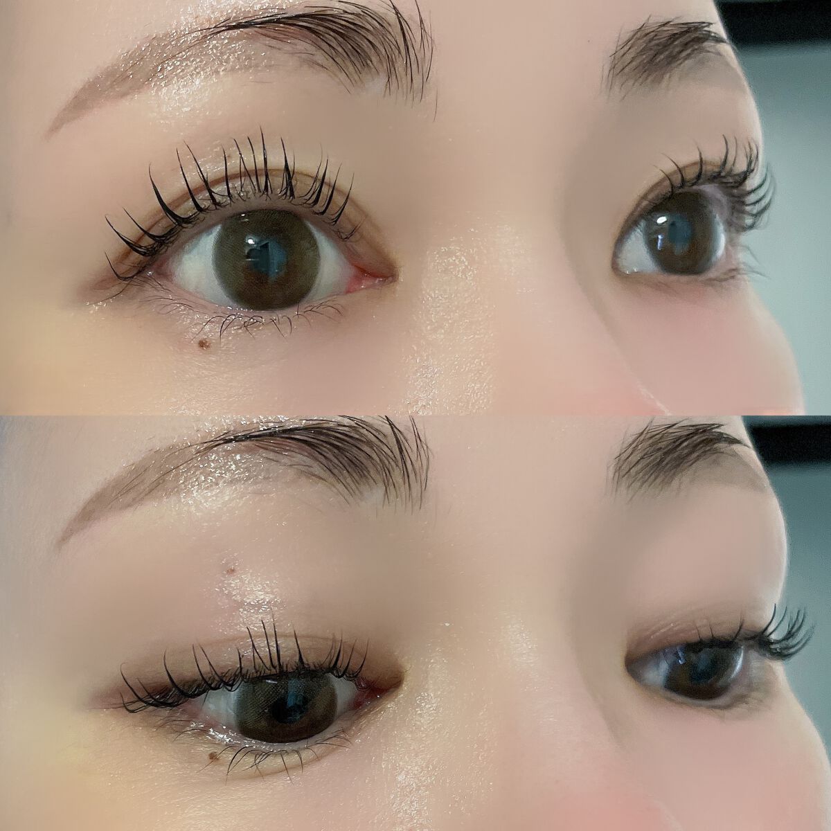 ラッシュジェリードロップ EX プレミアム/MAJOLICA MAJORCA/まつげ美容液を使ったクチコミ(6枚目)