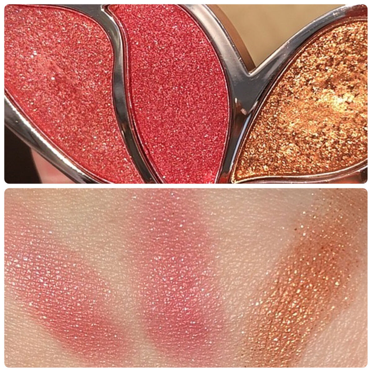 butterfly 6 colors Eye Shadow/gecomo/アイシャドウパレットを使ったクチコミ（3枚目）