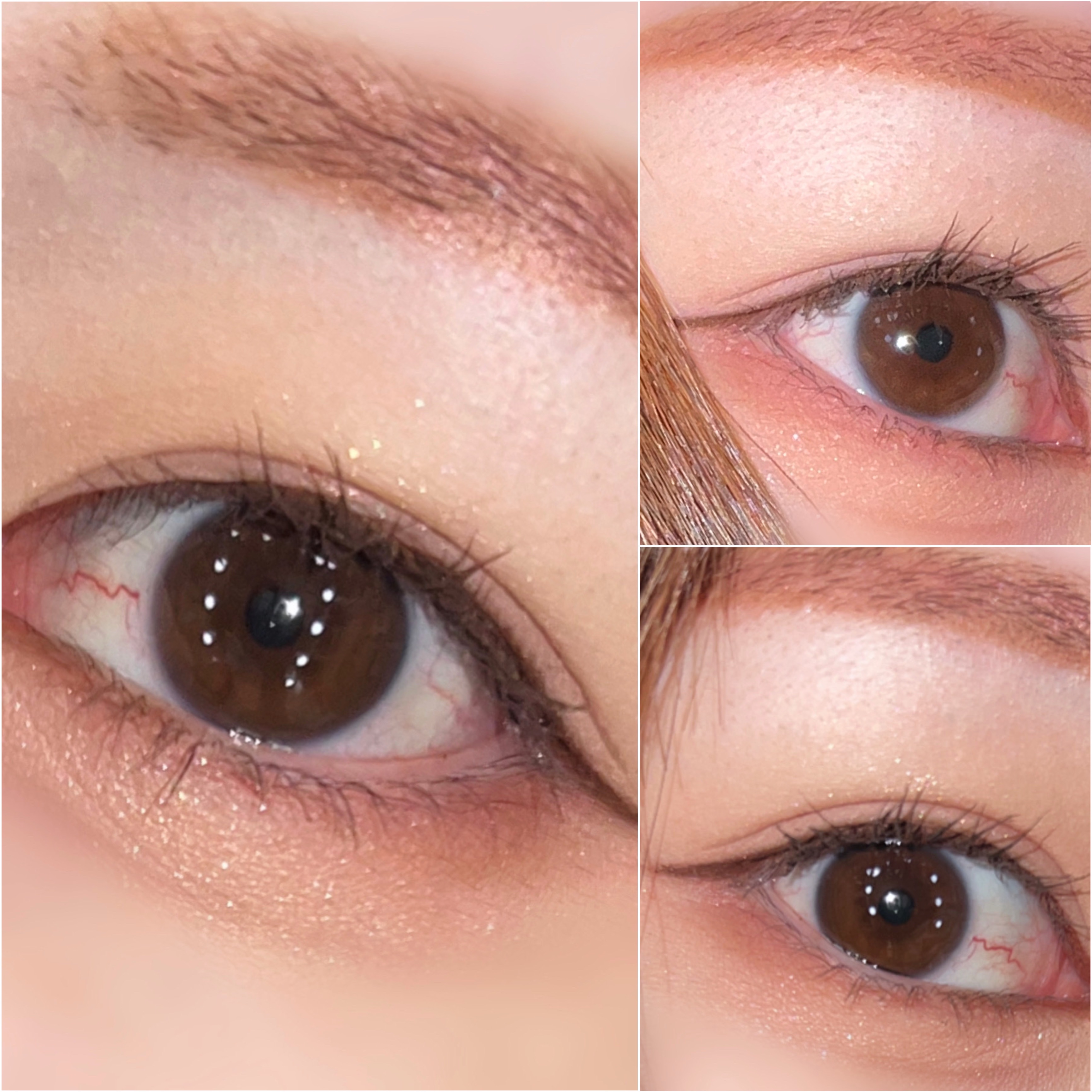 【旧品】パーフェクトスタイリストアイズ/キャンメイク/アイシャドウパレットを使ったクチコミ（1枚目）