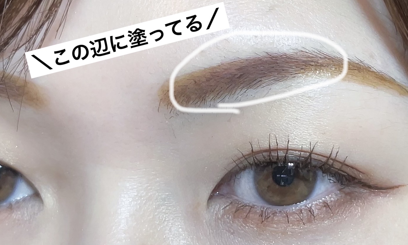 極細アイブロウマスカラ C2 モーヴブラウン/CEZANNE/眉マスカラを使ったクチコミ（3枚目）