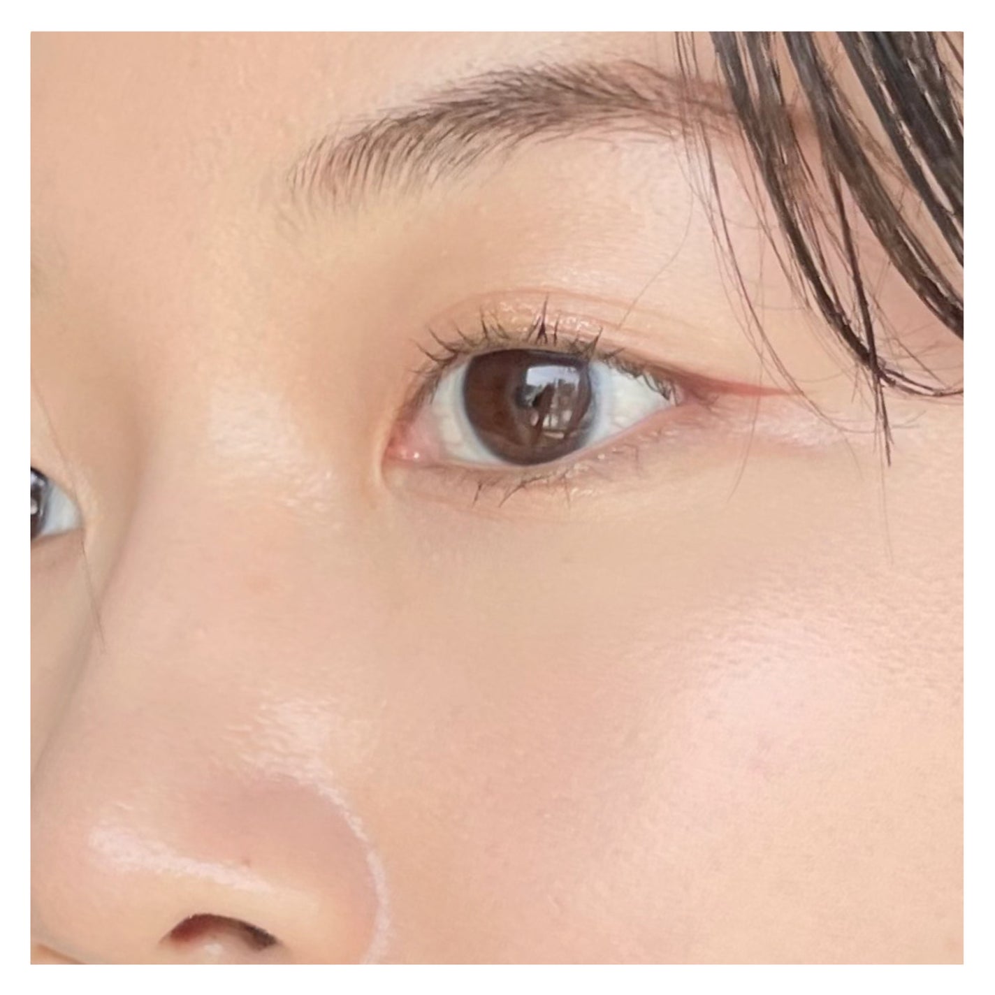 (ルシャブートコレクション)チーク&アイ マルチユーズ パレット/Dinto/パウダーチークを使ったクチコミ(5枚目)