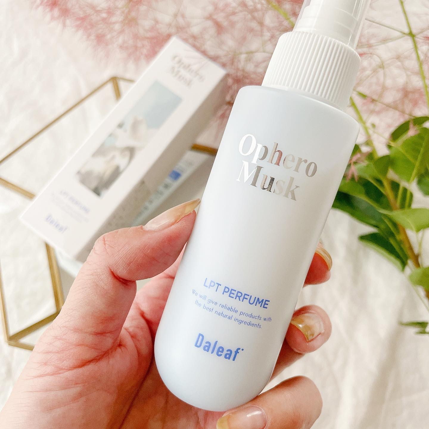 パフュームヘアパックインミスト Pink Breeze/Daleaf/アウトバストリートメントを使ったクチコミ（2枚目）