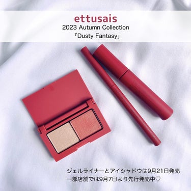 アイエディション(カラーパレット)/ettusais/アイシャドウパレットを使ったクチコミ（9枚目）