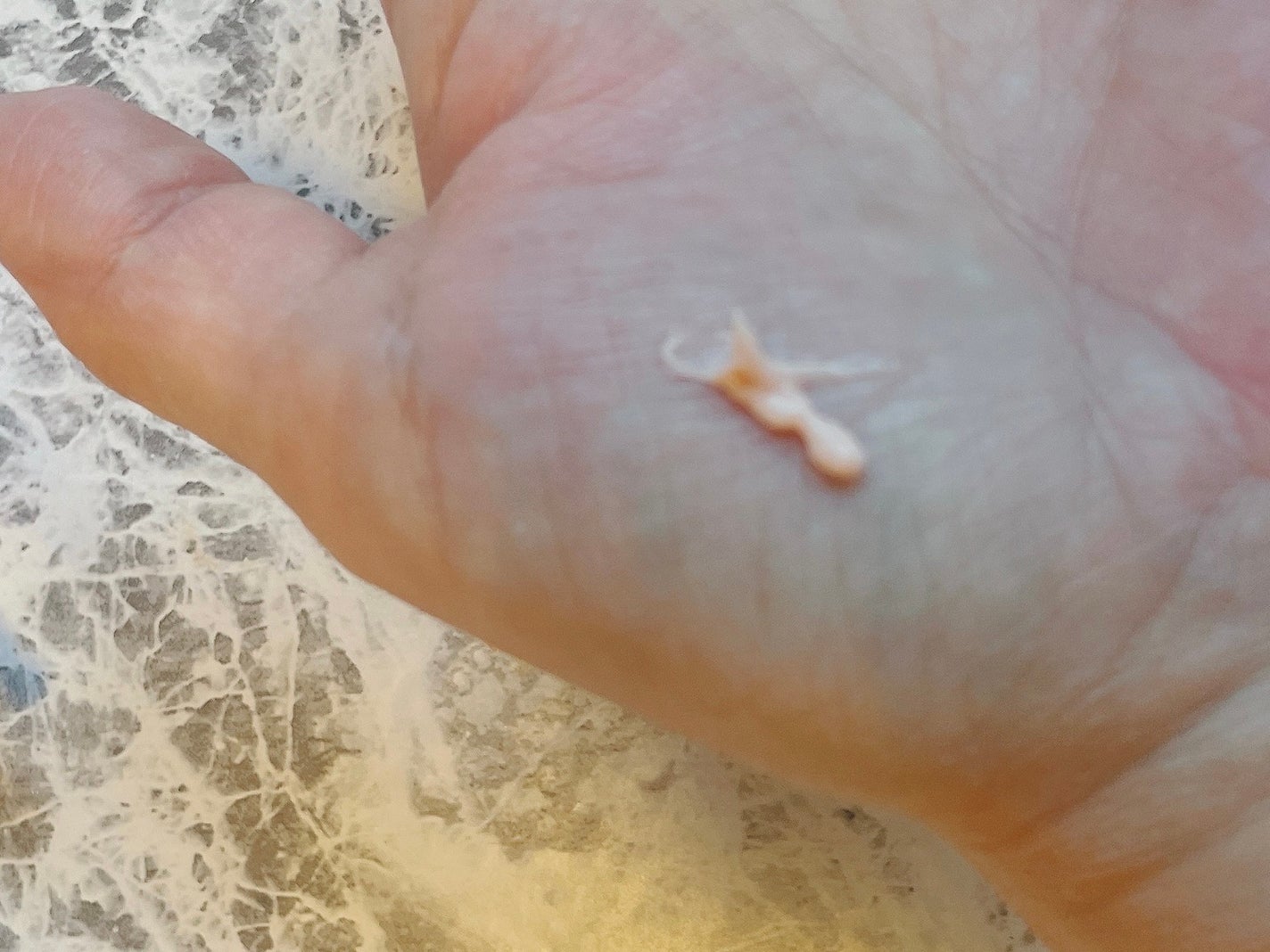 デリケートシルクベールアートプライマー/TFIT/化粧下地を使ったクチコミ(4枚目)