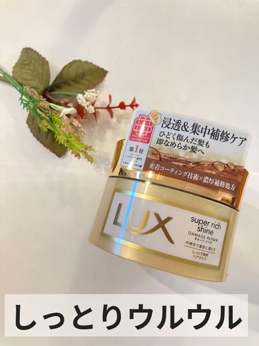 スーパーリッチシャイン ダメージリペア リッチ補修ヘアマスク/LUX/洗い流すヘアトリートメントを使ったクチコミ（1枚目）