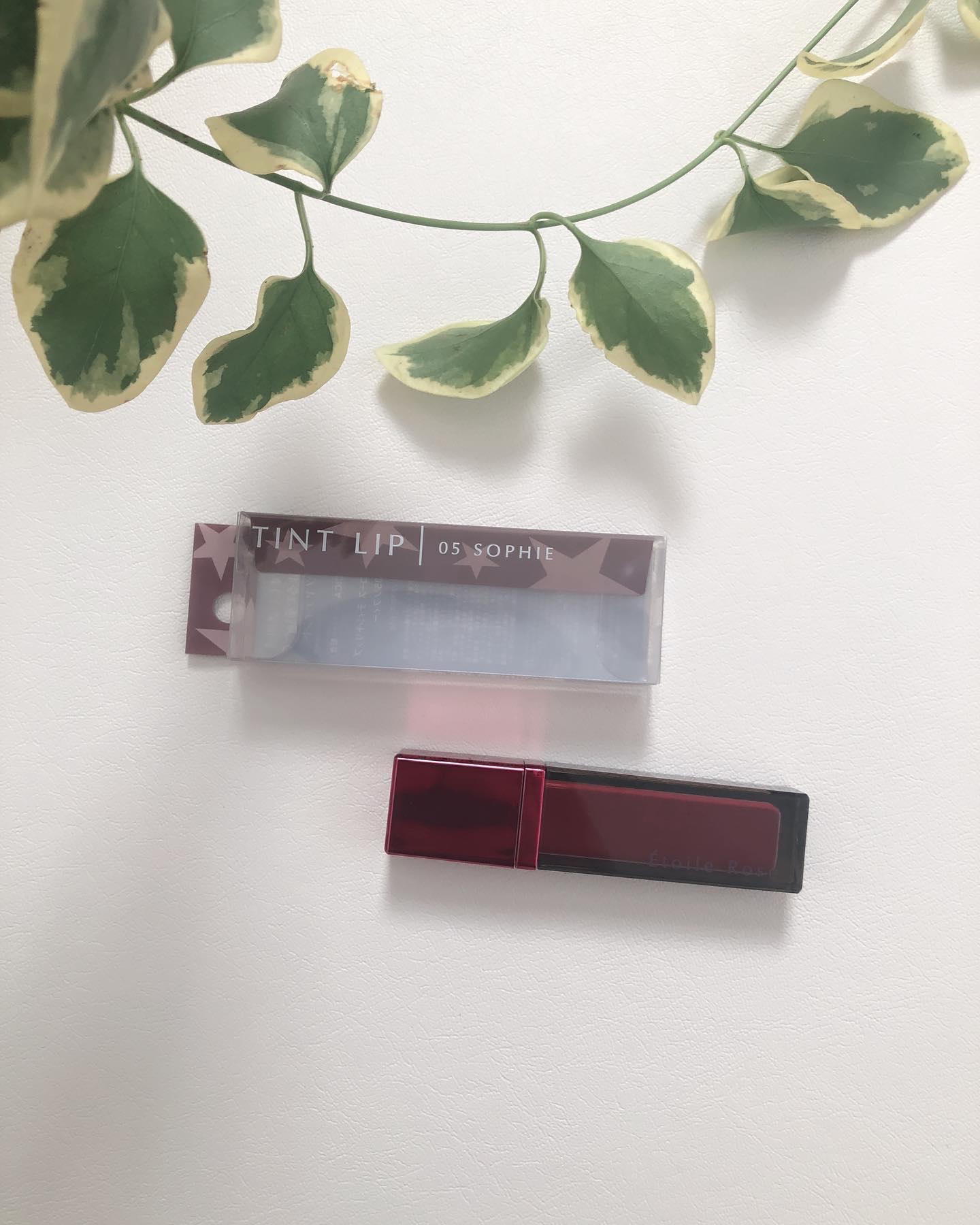 ティントリップ 05 ソフィー/Étoile Rose/リップティントを使ったクチコミ（2枚目）