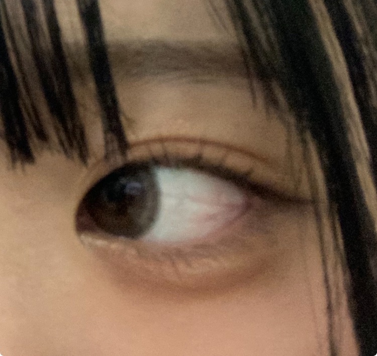 MOLAK 1day ダークピオニー/MOLAK/ワンデー（１DAY）カラコンを使ったクチコミ（3枚目）