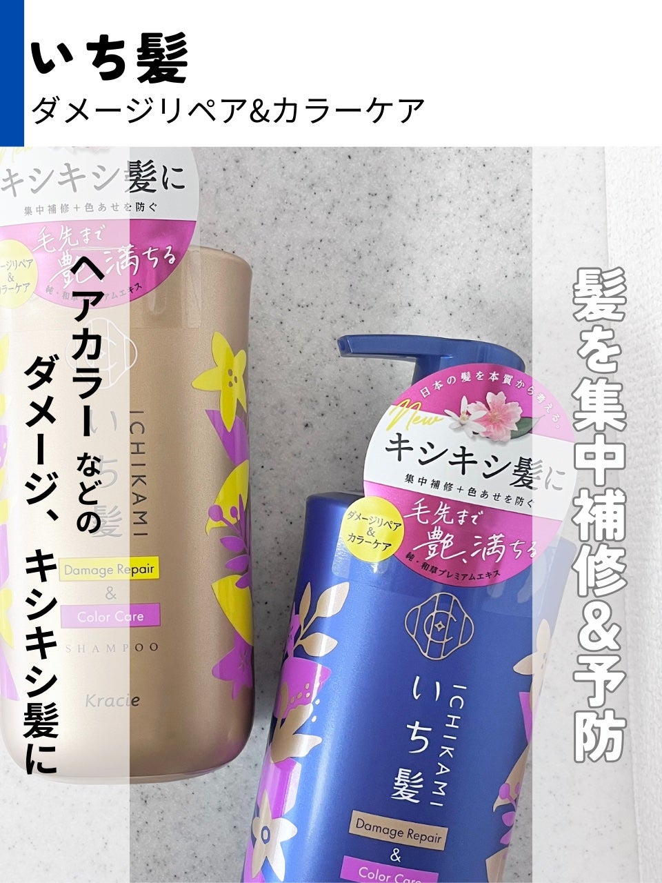 ãã¡ãŒãžãªãã¢ïŒã«ã©ãŒã±ã¢ ã·ã£ã³ããŒ/ã³ã³ãã£ã·ã§ããŒ/ãã¡é«ª/åžè²©ã·ã£ã³ããŒã䜿ã£ãã¯ãã³ãïŒ2æç®ïŒ