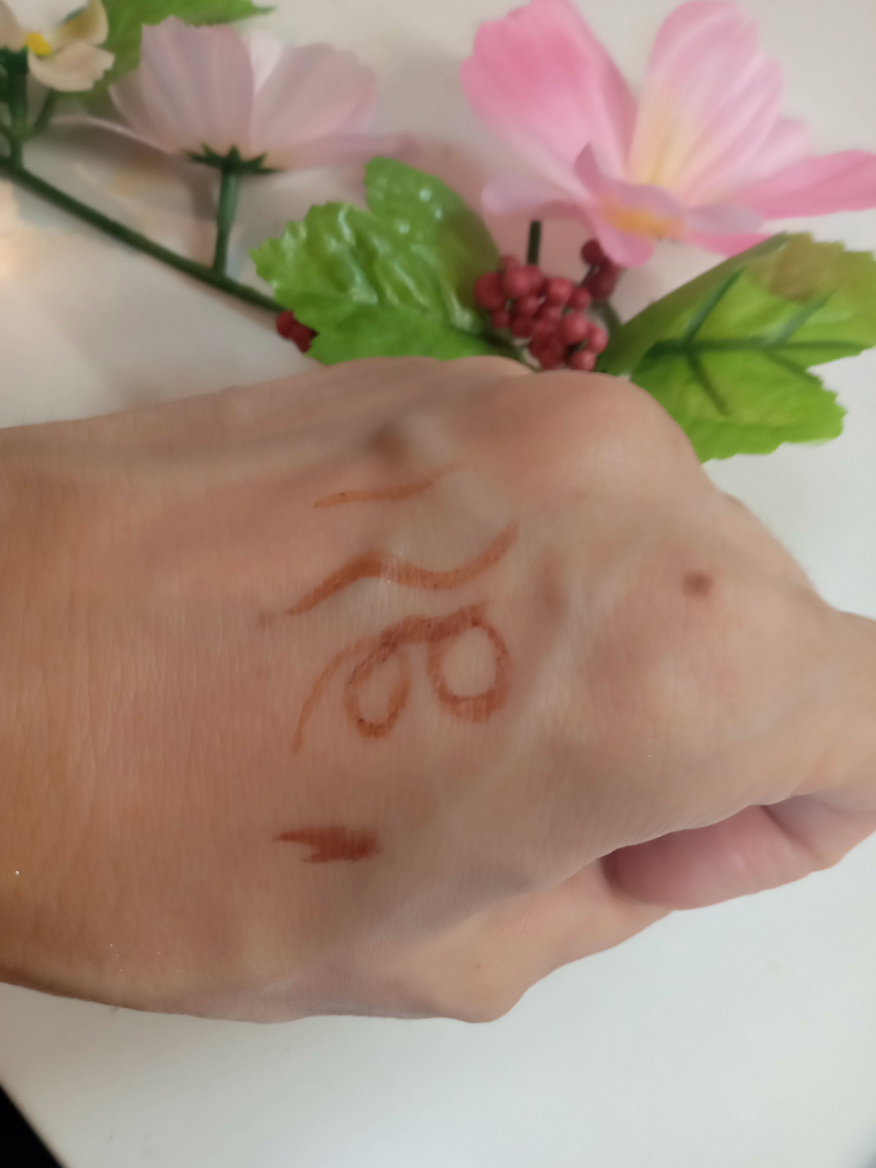 エトワルローズ アイライナーN/Étoile Rose/リキッドアイライナーを使ったクチコミ（3枚目）