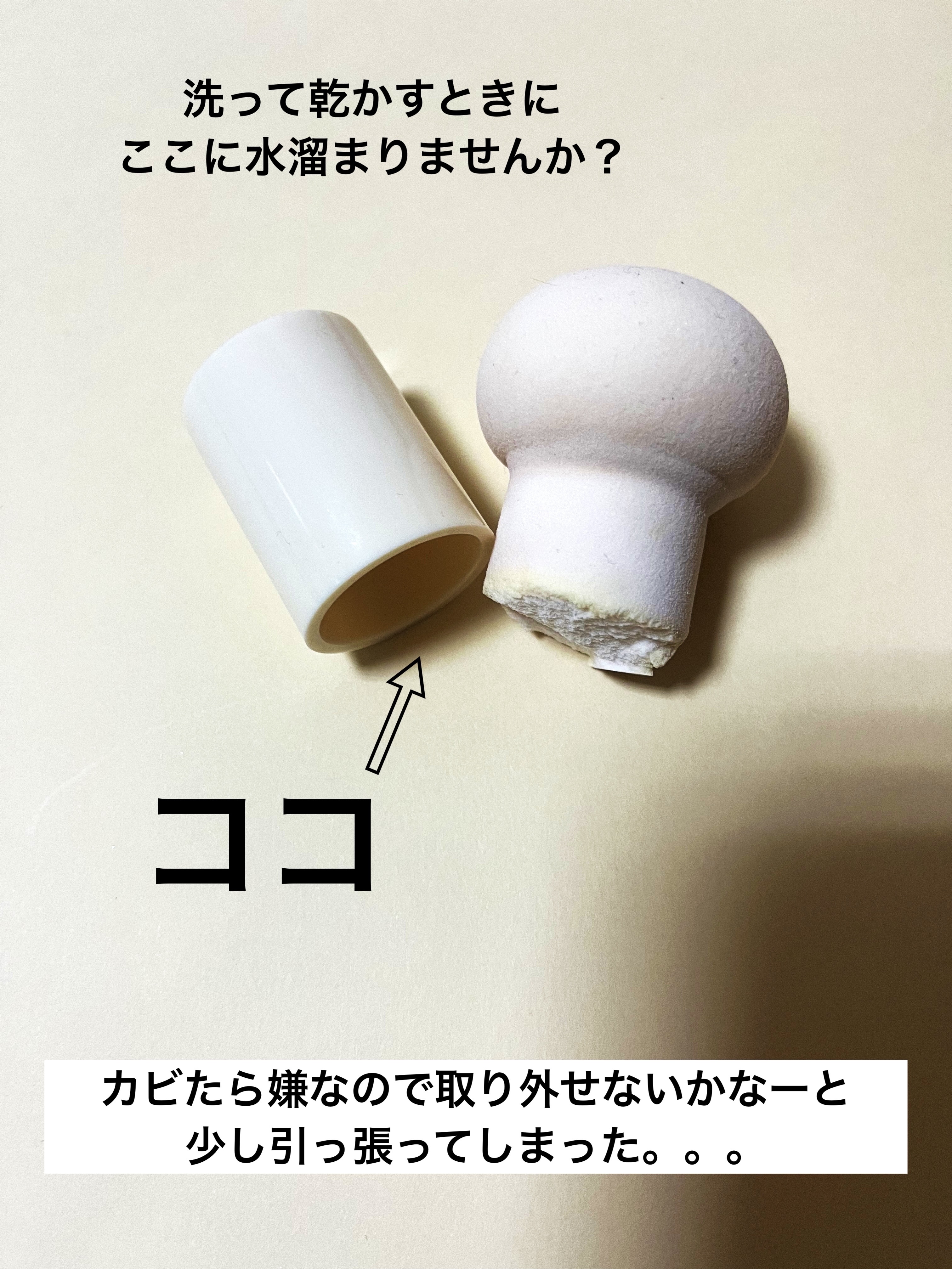 ピュアブラッシャー パフ付き 01 ラビット/フォレンコス/パウダーチークを使ったクチコミ（2枚目）