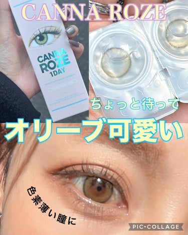 i-DOL CANNA ROSE DAILYのクチコミ「\\ベージュとかグレーとか多いよね？ちょっと待って…オリーブ可愛すぎる…🤣//


 i-DO.....」（1枚目）